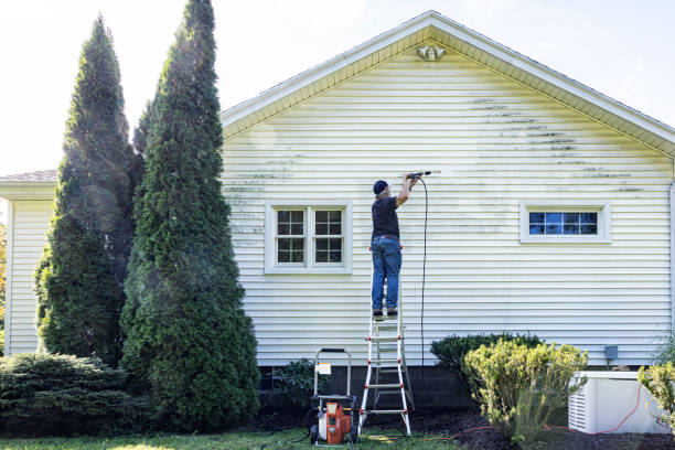 Best Residential Pressure Washing Services  in Homeland Park, SC