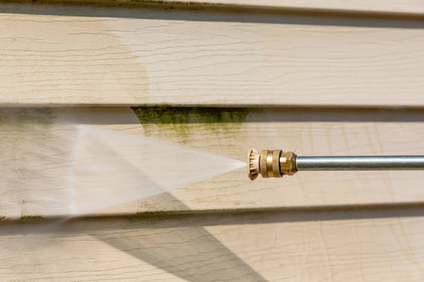 Best Pressure Washing Company Near Me  in Homeland Park, SC