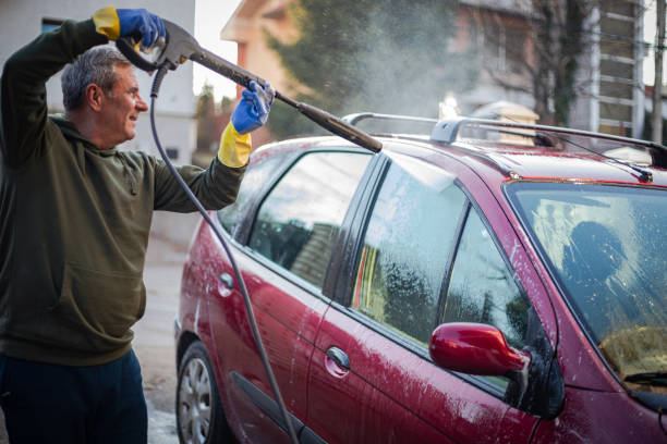 Best Roof Pressure Washing  in Homeland Park, SC