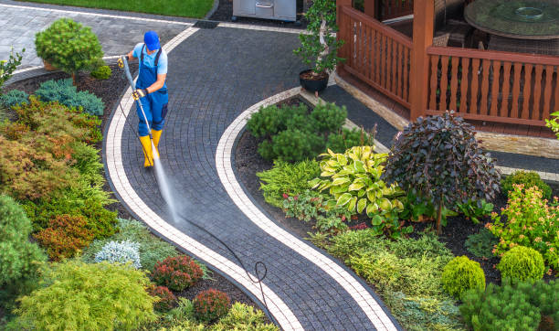 Best Pressure Washing Near Me  in Homeland Park, SC